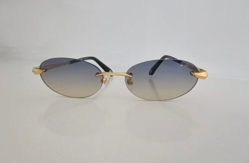 Roberto Cavalli — Gafas ovaladas con lentes gris degradado